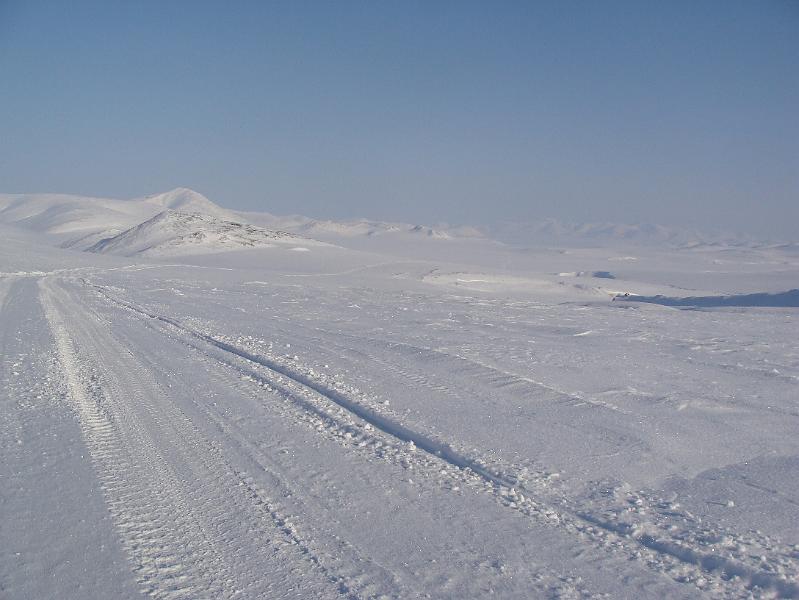 bilibno flie 2 009.jpg